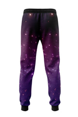 AOJP - CLUSTER JOGGER PANT